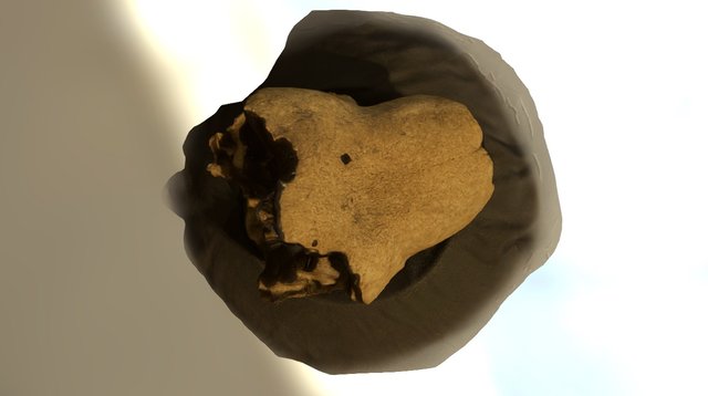 Sloth Rostro top 3D Model