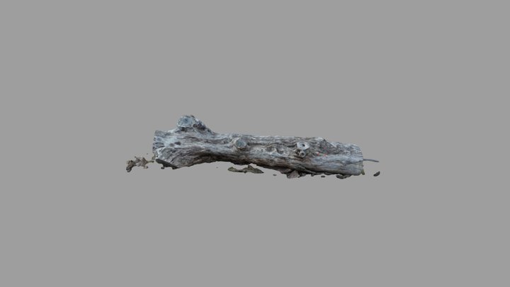 White_Oak_500_Years_Old_textured_mesh_obj 3D Model
