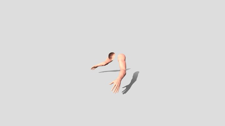 Human Arms 3D Model