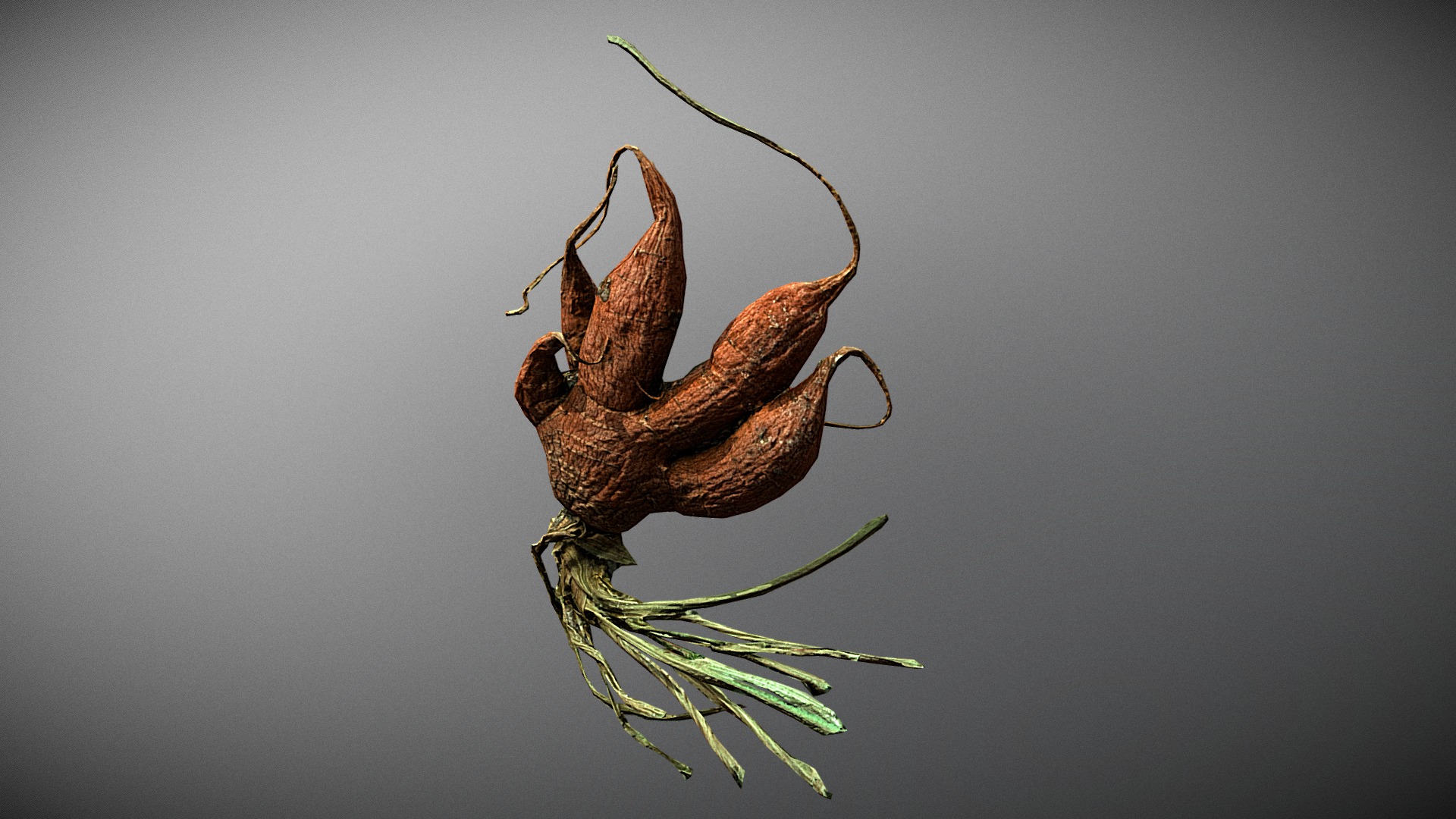 3D model Old Carrot 04 - This is a 3D model of the Old Carrot 04. The 3D model is about a close up of a bug.
