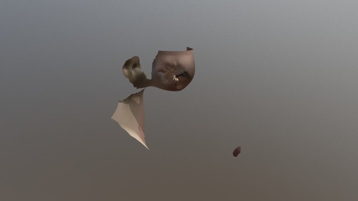 Modelo 1 3D Model