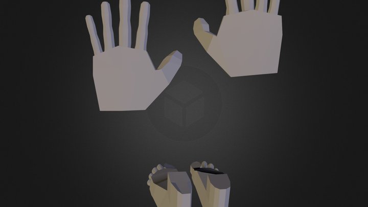 3DAN305_A1_Hands_Feet 3D Model