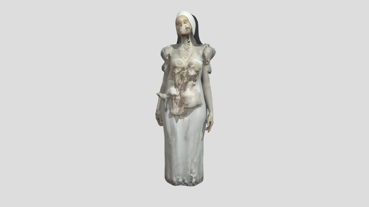 Veiled Anatomy 3D Model