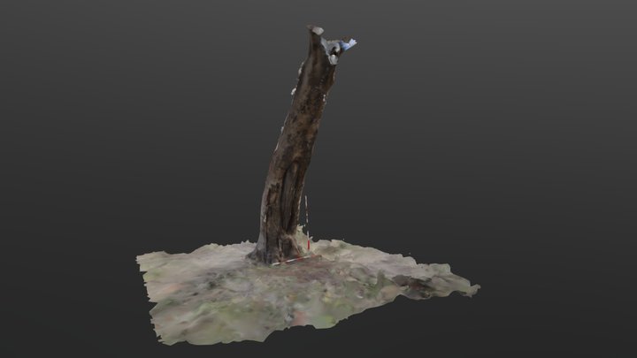 Tree 25 3D Model
