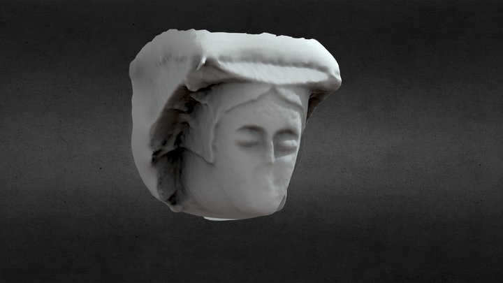 LE025-096001 COMMONS - Carved head 2 3D Model