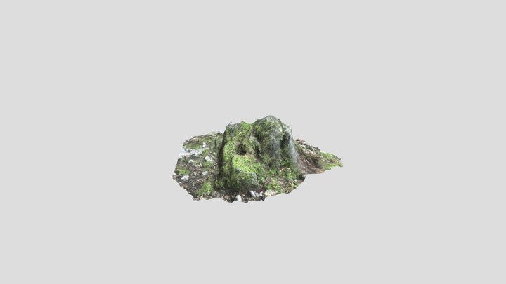 Stone SG1 3D Model