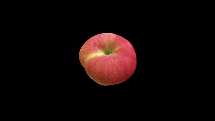 Apple1 3D Model