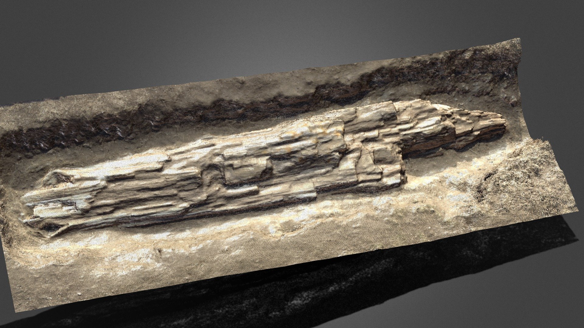 Giant Petrified Tree trunk — Sketchfab embed 3D viewer