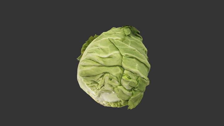 211209- Cuisine 3D Model