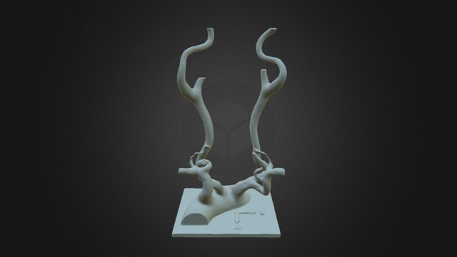 Aorta_S_carotis 3D Model