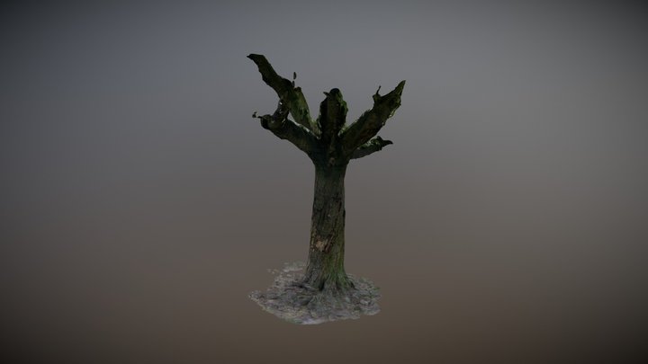 Tree1 3D Model