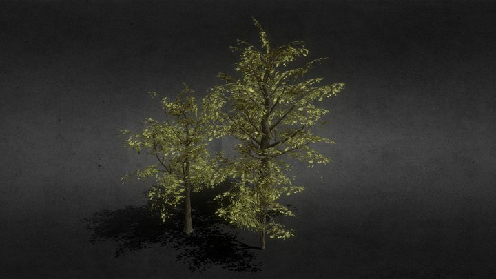 oak trees 3D Model