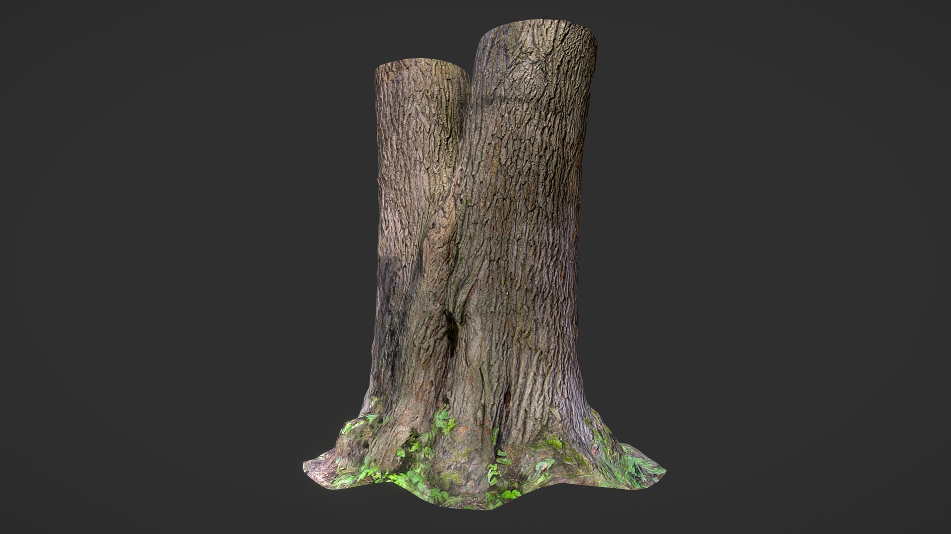 3D model TREE - This is a 3D model of the TREE. The 3D model is about a tree trunk with a green stem.