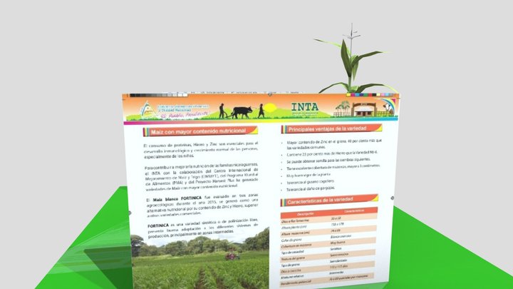 maiz fortinica final 3D Model