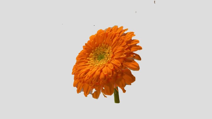 Scan 2023-06-18T12:33:22.632Z 3D Model