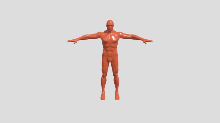 human male 3D Model