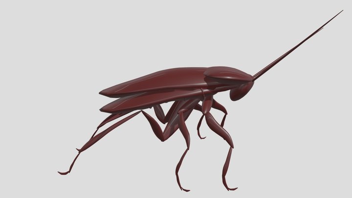 roach test aug 16 3D Model