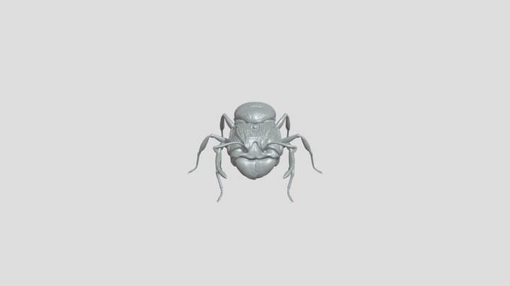 judg 3D Model