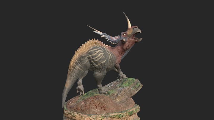 Styracosaurus 3D Model