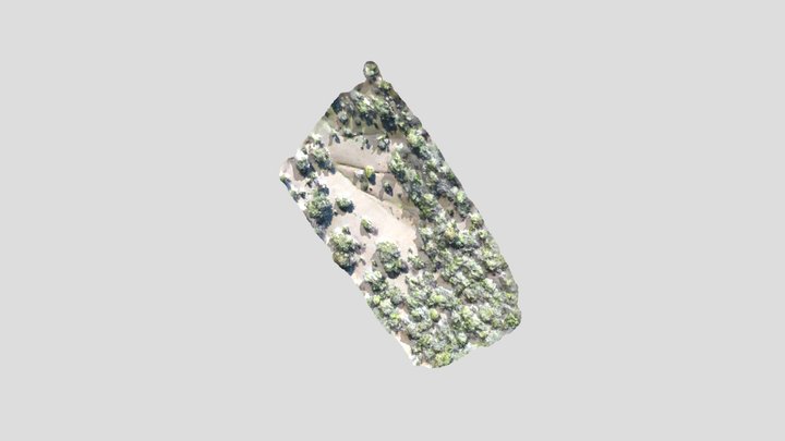 PARCELA 129 3D Model