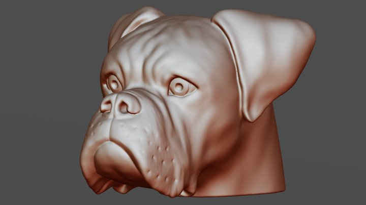 Boxer dog head for 3D printing 3D Model