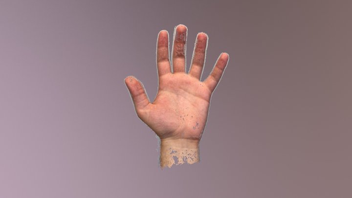 Hand - PointCloud 3D Model