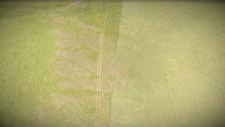 The Hulunbeir Grassland and track – Modello 3D gratuito STL
