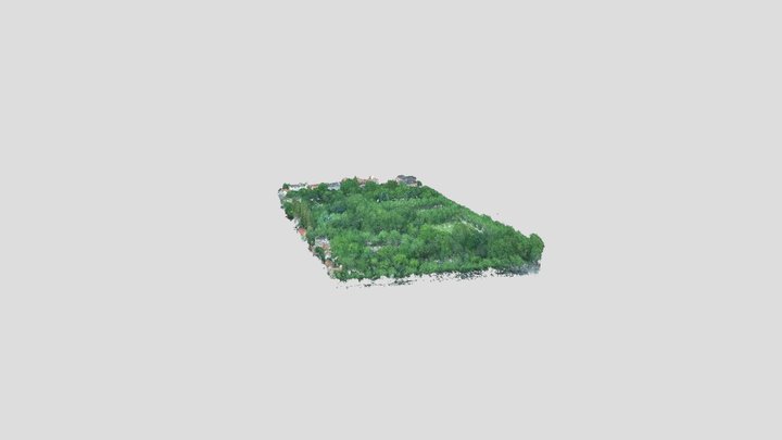 Fuxingpark Pointcloud Subsampled5 3D Model