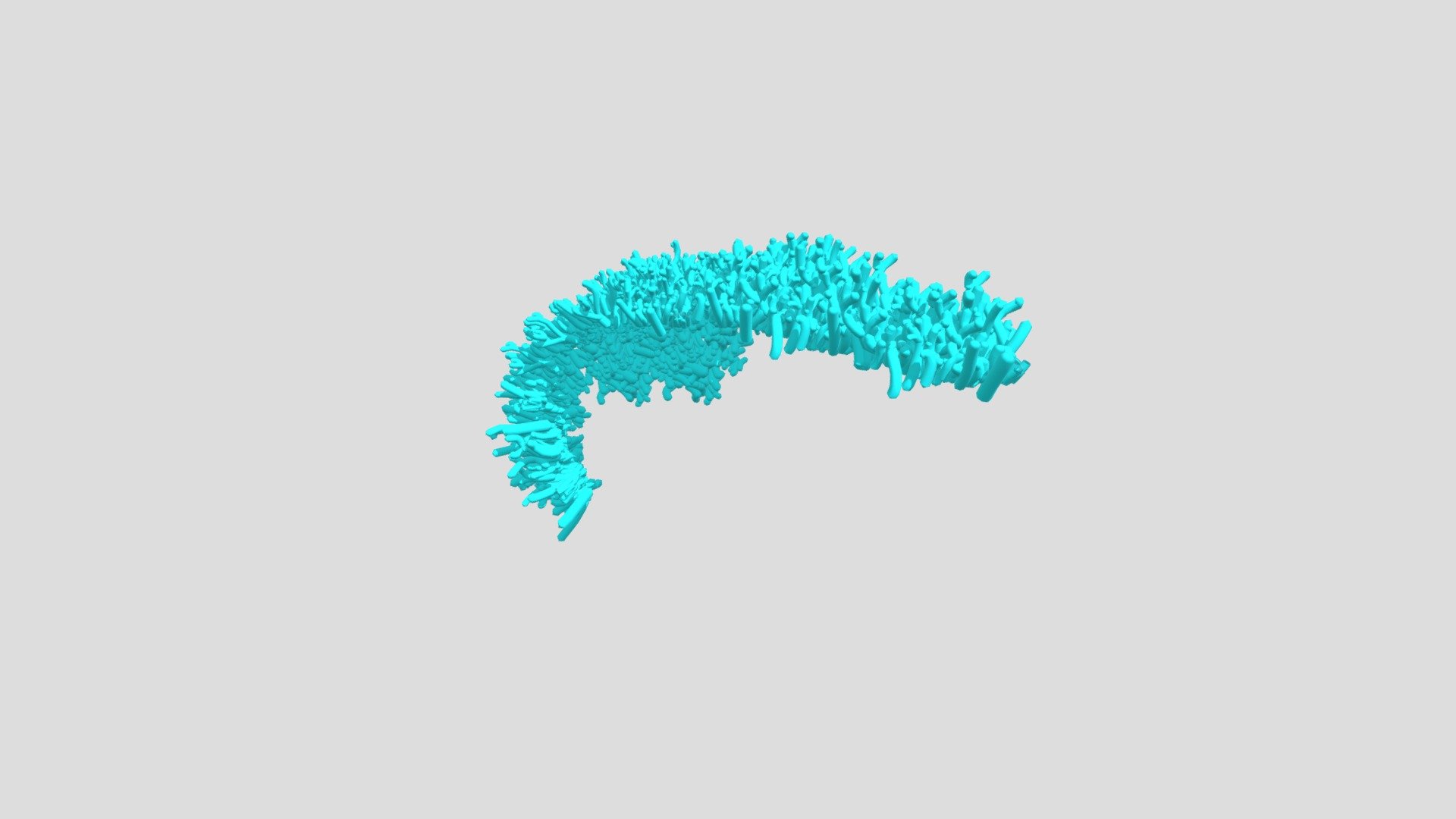 anemone 1