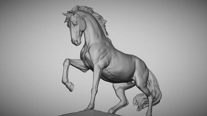 #Horse4 3D Model