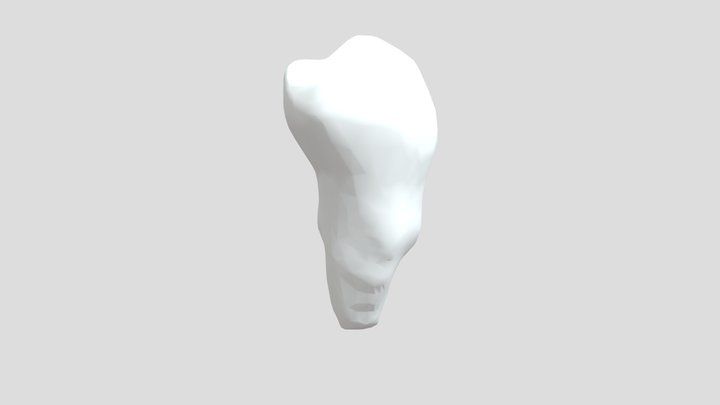 35 TOOTH 3D Model
