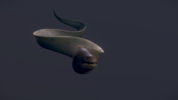 moray for #AnimalSculptChallenge 3D Model