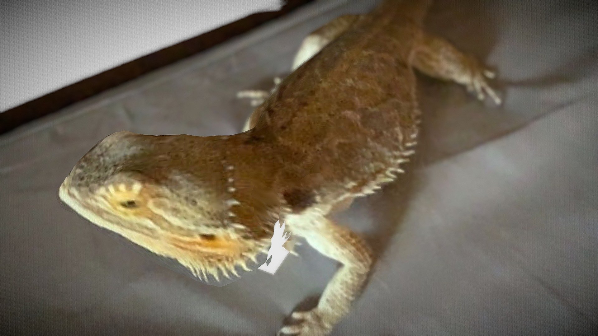 Dragon D