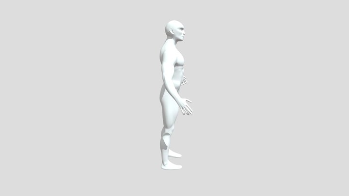 Man Body 1 3D Model