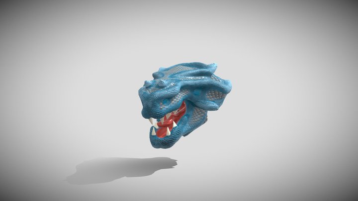 Dragon Head practice 3D Model