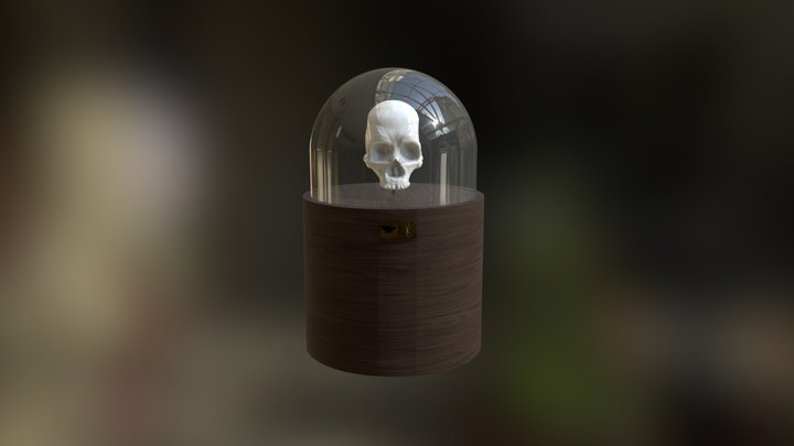 Skull 3D Model