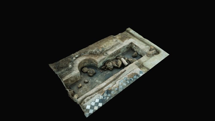 Bassin de Domus_Sainte-Colombe_Le Bourg (69) 3D Model