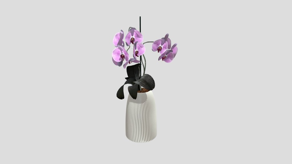 Parabolic Vase