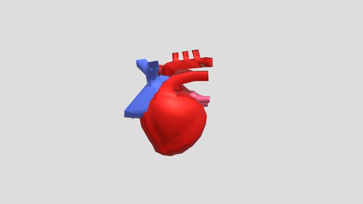 Heart Organ 3D Model