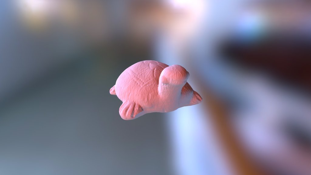 Turtle Fused - 3D model by fraktalog2 [d868cbe] - Sketchfab
