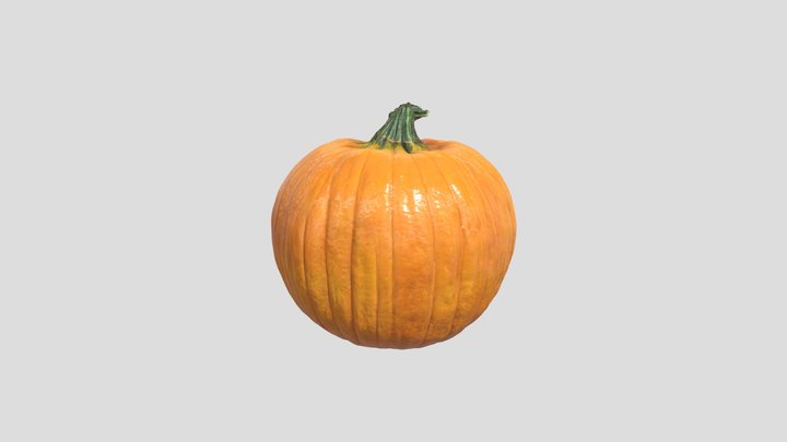 orange textured pumpkin 3D Model