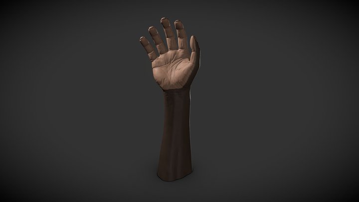 Hand of A. sediba MH2 by Mario Tischhauser 3D Model