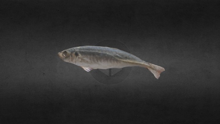 Lanyuanshen6 3D Model