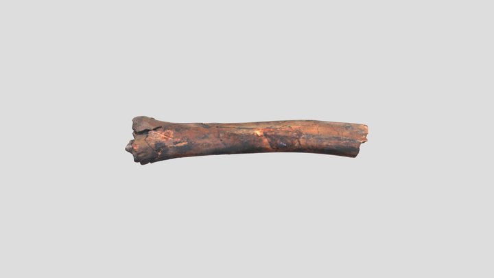 JS194 3D Model