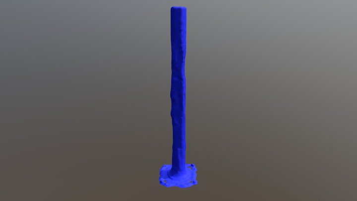 Clflsplshfr 3D Model