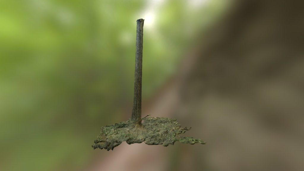 Tree testing