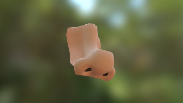 Nariz 3D Model