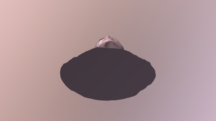 556 3D Model