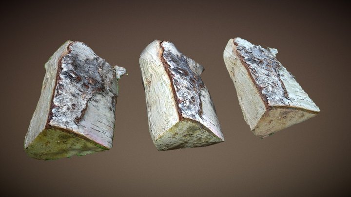 Log 3D Model