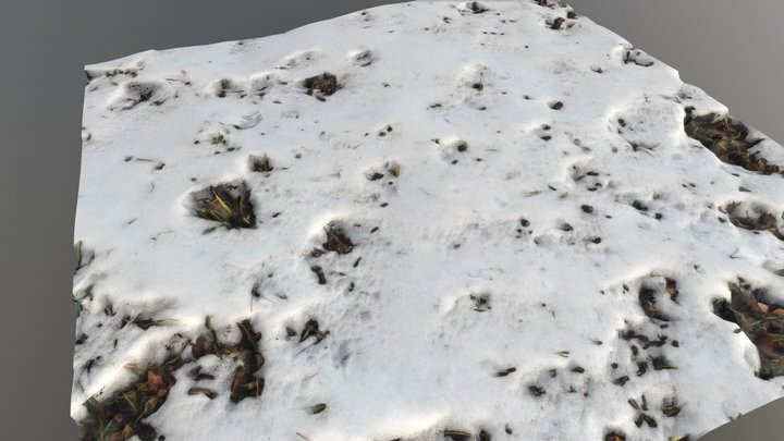 Patch of Old Snow 3D Model